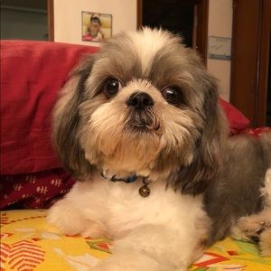 Meet your Posher, Sanjana